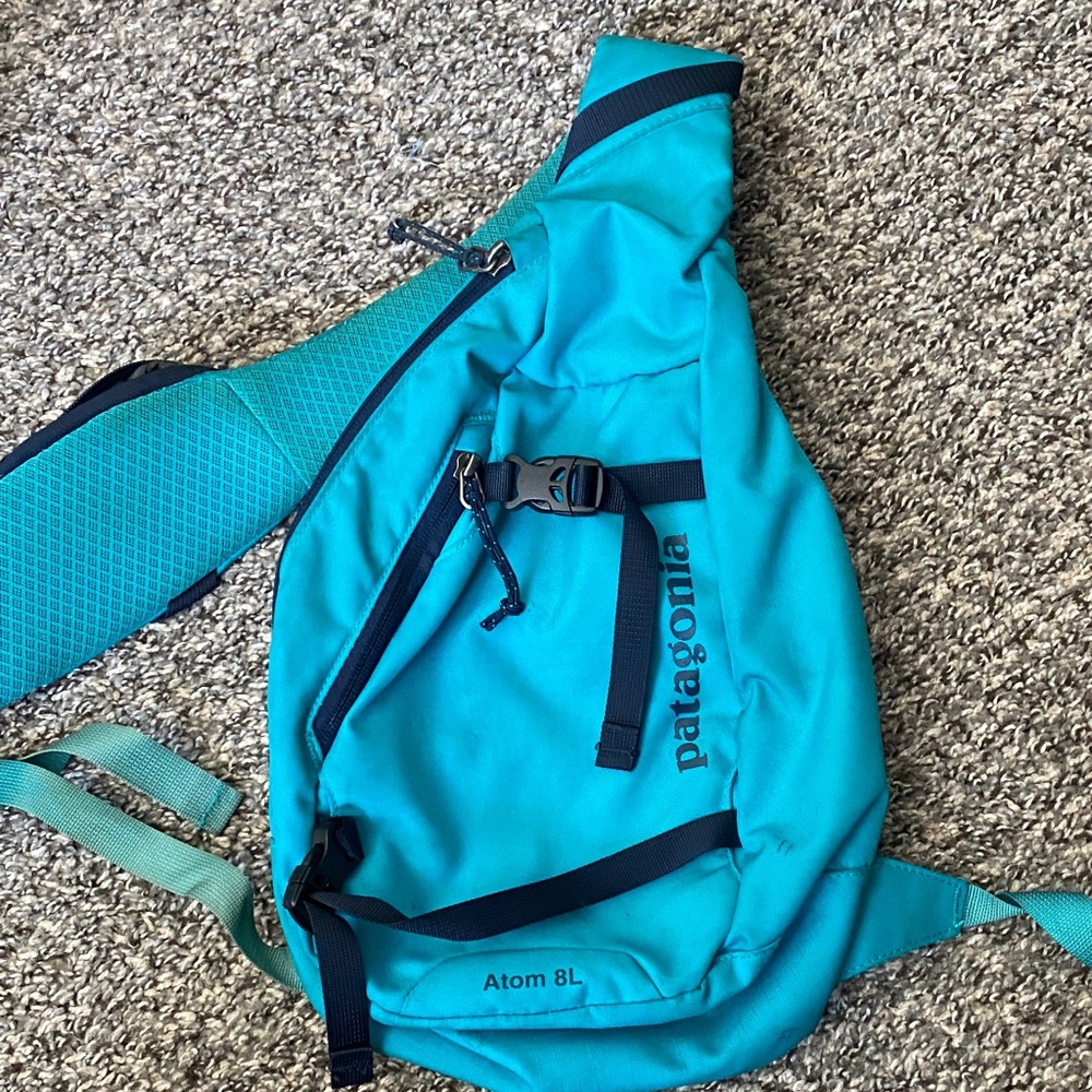 Patagonia Atom 8L Belt Bag - Teal